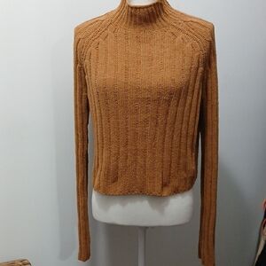 American Eagle Outfitters Women's Brown Turtleneck Sweater